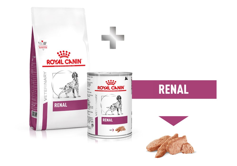 انواع غذای رنال رویال کنین (Royal Canin Renal)